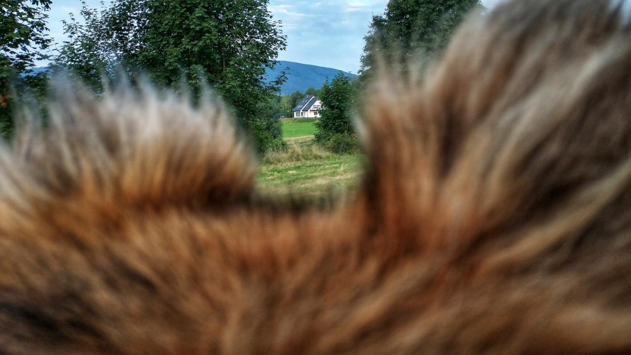 Rezydencja Ostoja Stronie Śląskie Exterior foto