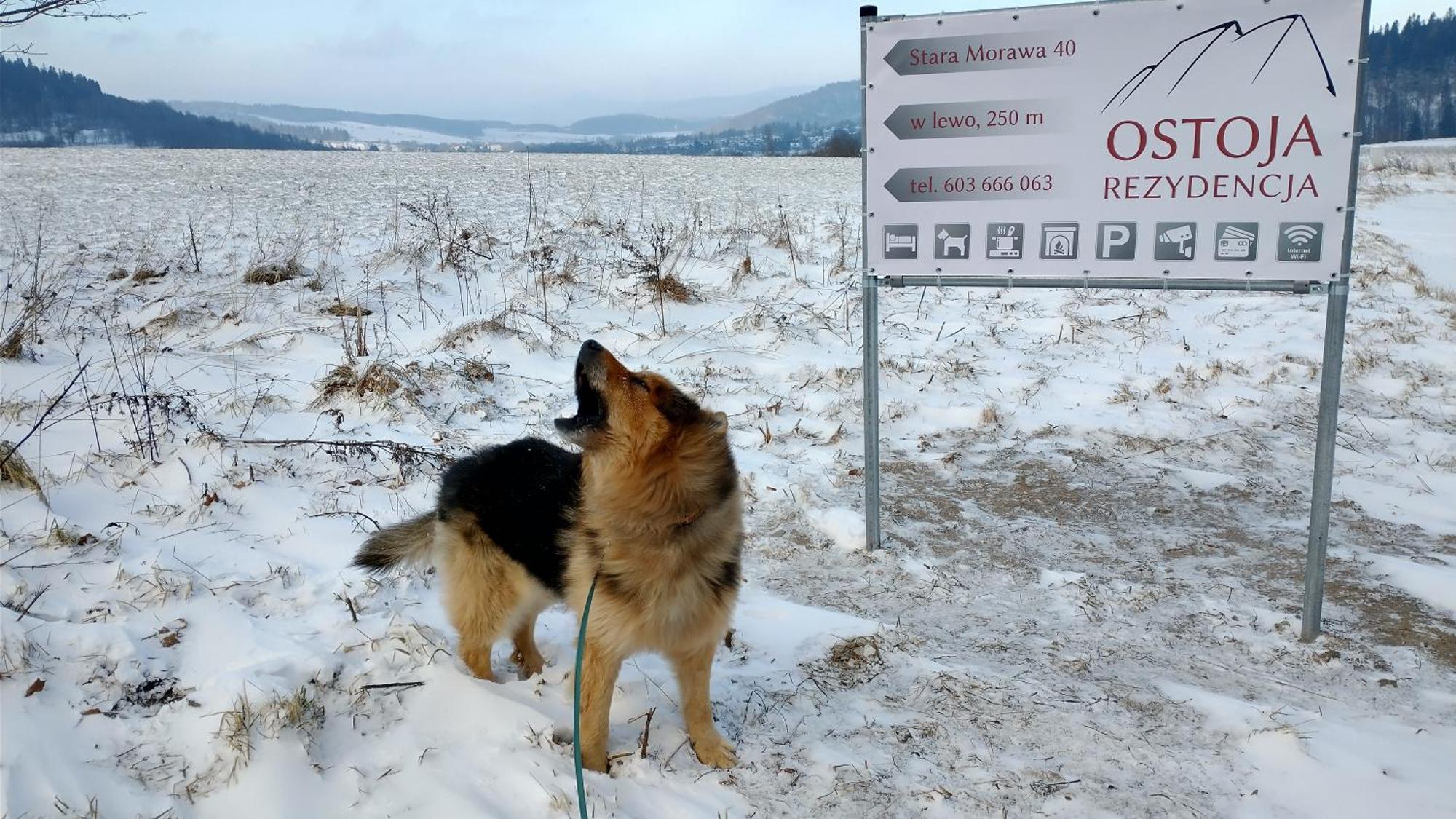 Rezydencja Ostoja Stronie Śląskie Exterior foto
